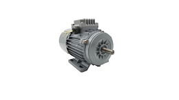 Brake motor maintenance and maintenance