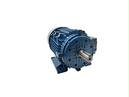 Torque motor appearance check