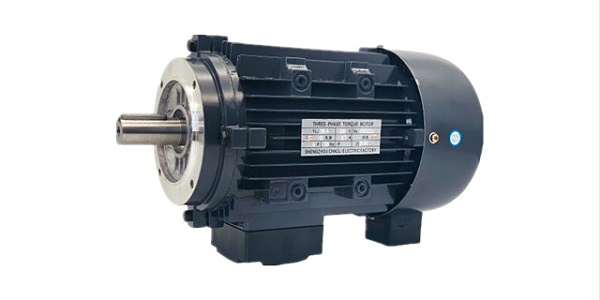 Torque motor manufacturers product picture