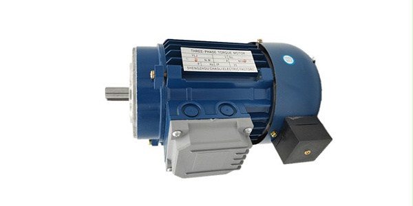 Torque motor manufacturer