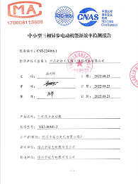Senli YE3-80 energy efficiency certificate