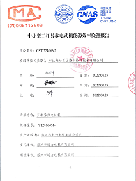 Senli YE3-160 Energy efficiency certificate