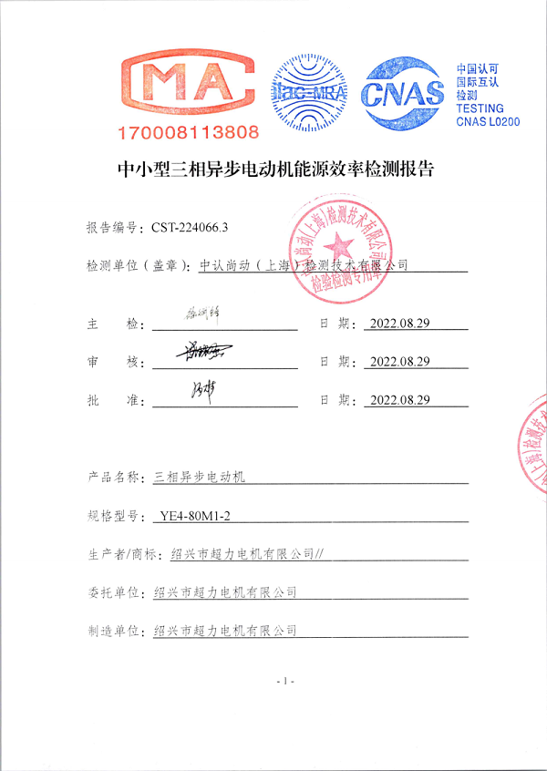Senli YE4-80 energy efficiency certificate
