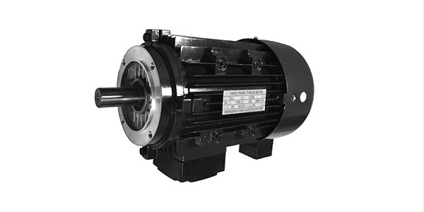 Torque motor