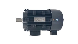Safety standards for the production of torque three-phase asynchronous motors (1)