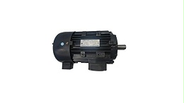 The influence of operation on asynchronous motor under special environmental conditions