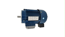Long-term locked-torque motor
