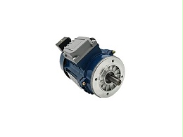 Long axis torque motor manufacturers produce low speed high torque motor