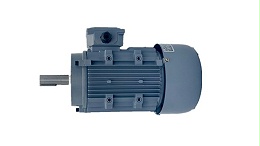 Brake motor working principle