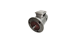 Brake motor braking