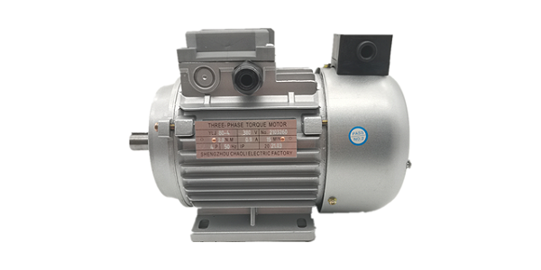 Torque motor factory products