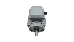 Three-phase squirrel-cage induction motor must be maintained in this way