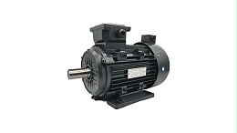 Three-phase asynchronous motor manufacturers torque motor regulator common form