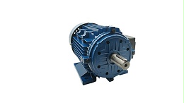What is torque motor locked current