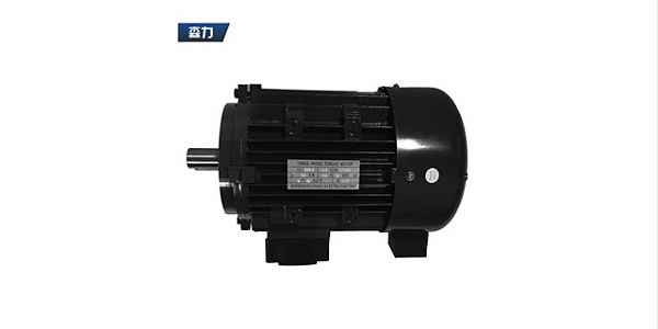 Torque motor manufacturers product picture