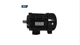 Torque motor routine maintenance