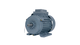 Construction principle of brake motor