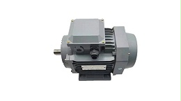Motor manufacturers about asynchronous motor temperature rise (1)