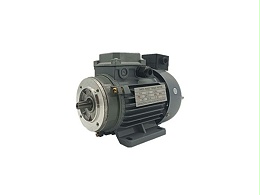 Mechanical characteristics of torque motor