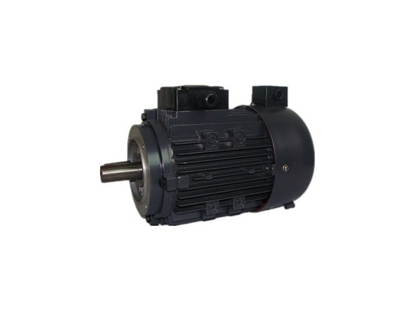 Torque motor stepless speed regulation