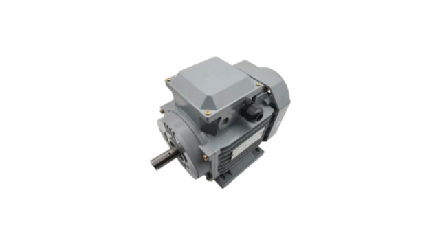 About motor loss