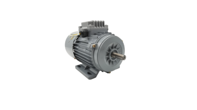 Brake motor maintenance and maintenance