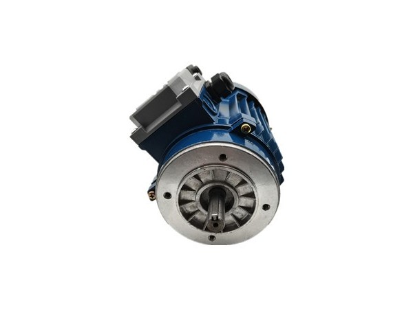 The application and characteristics of torque motor