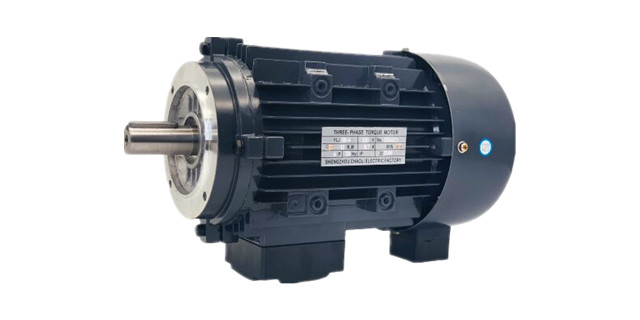 Torque motor manufacturers product picture