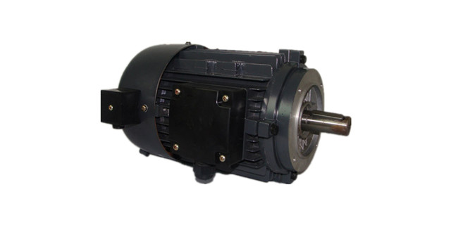Torque motor