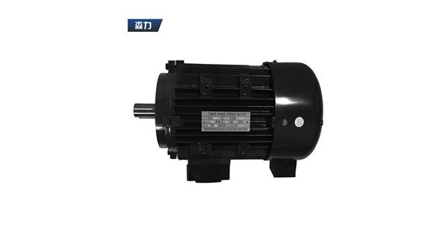 The application of torque motor in plastic round wire machine