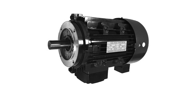 Torque motor manufacturers product picture