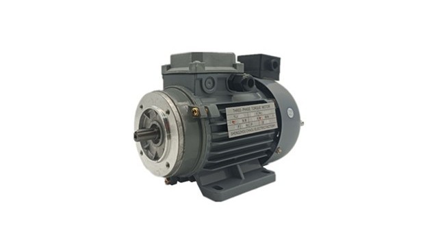 Torque motor manufacturers before assembly preparation