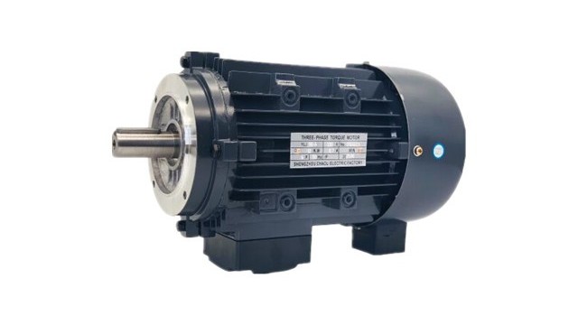 Note on the torque motor before assembly