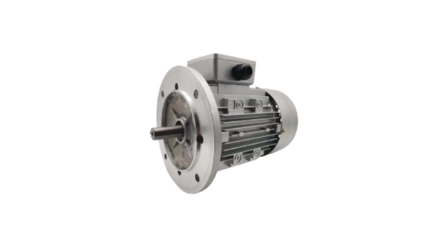 Induction motor winding dip paint problem