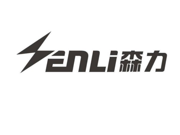 Senli motor online mall