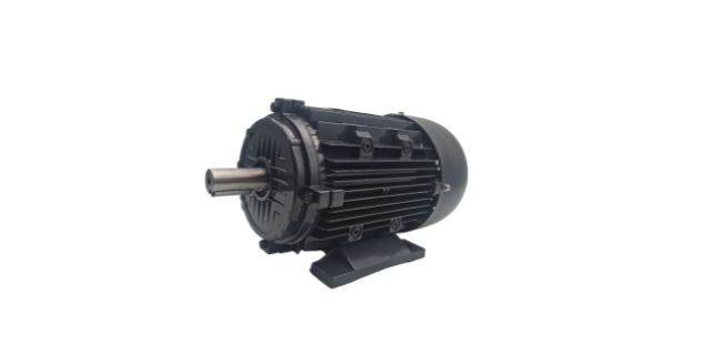 Torque motor manufacturers product picture
