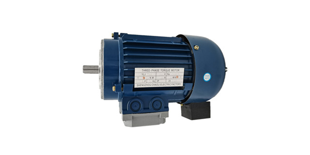 Torque motor manufacturers product picture