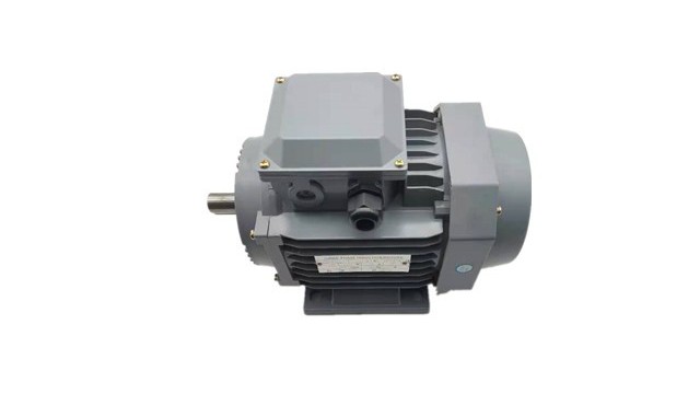Motor manufacturer Brief description of the harm caused by phase fault (1)