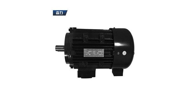 Principle of torque motor controller