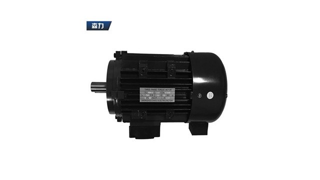 Torque motor routine maintenance