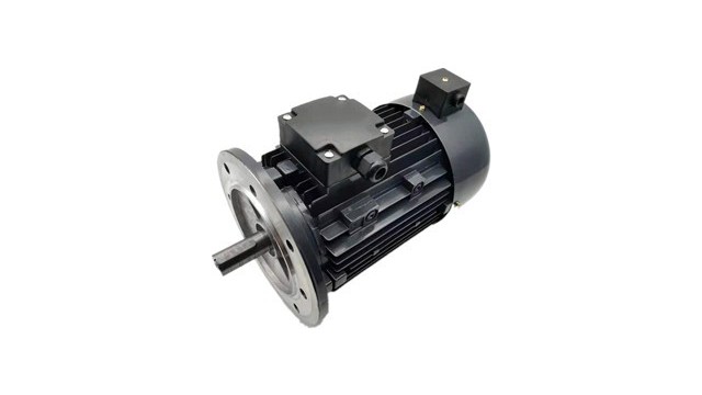 Why can the torque motor be blocked