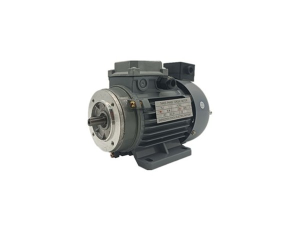Mechanical characteristics of torque motor