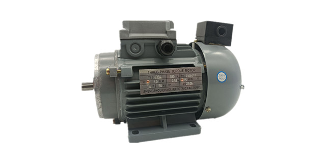 Torque motor product picture