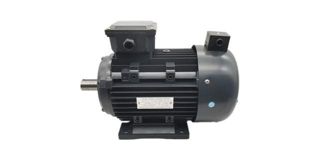 YLJTorque motor factory products