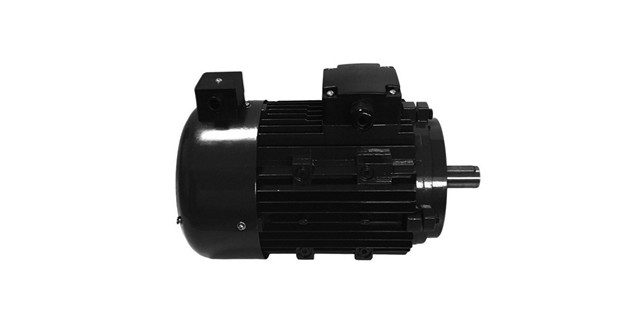 Torque motor