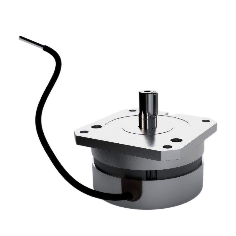 Brushless DC motor